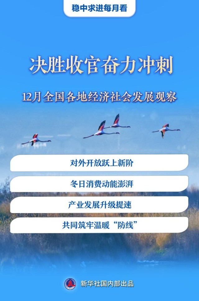 稳中求进每月看丨决胜收官奋力冲刺